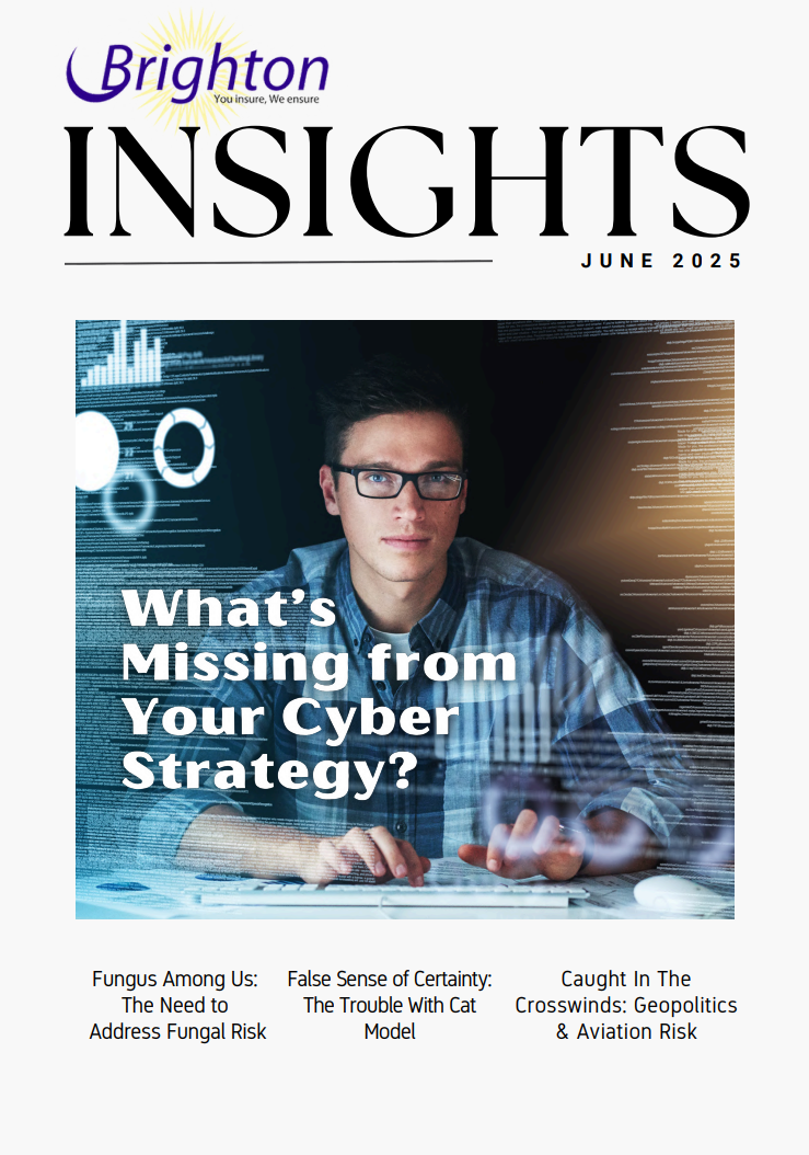 Brighton Insights June 2025