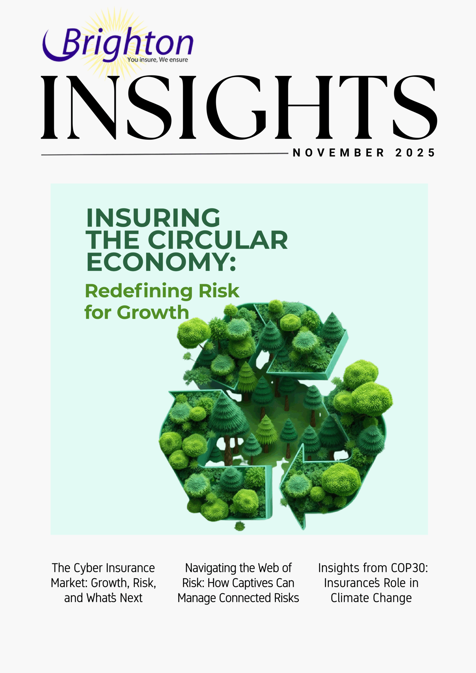 Brighton Insights November 2025