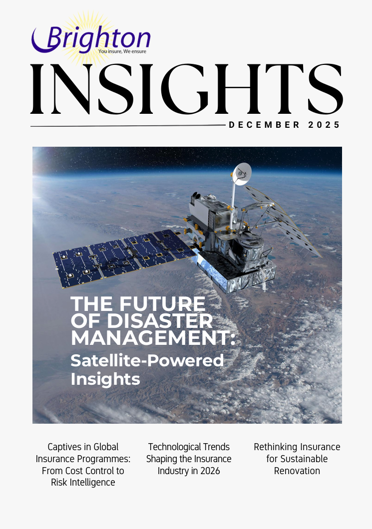 Brighton Insights December 2025