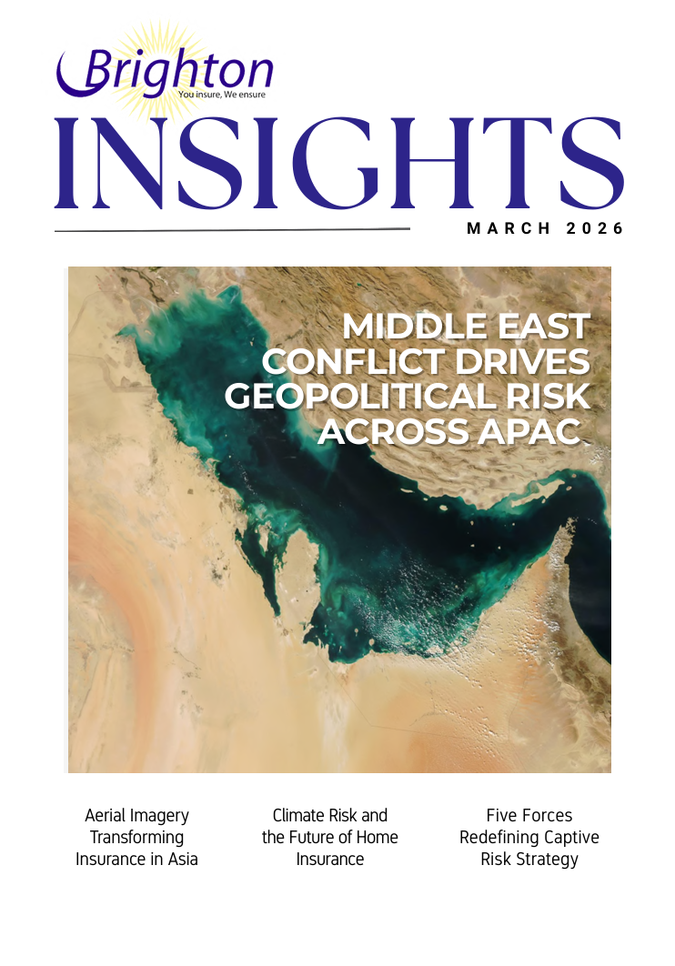 Brighton Insights March 2026